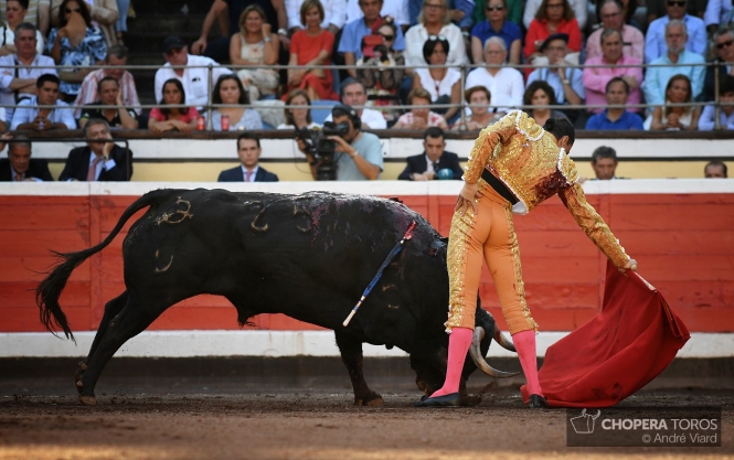 Ahí va una figura del toreo