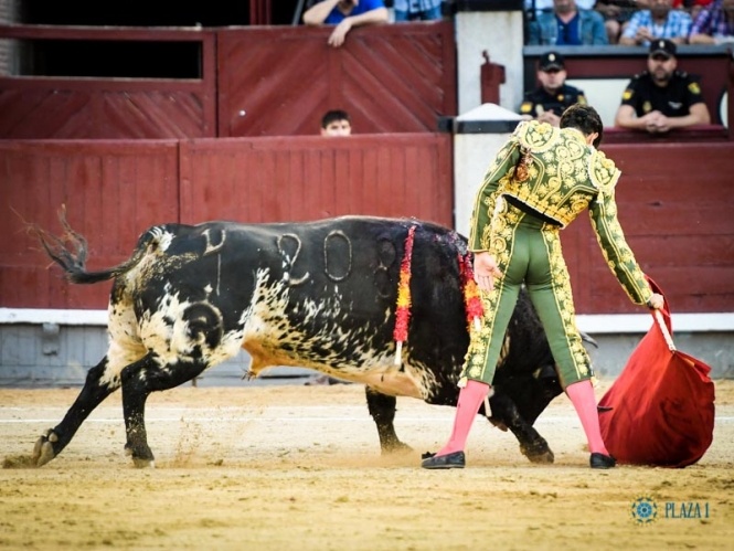 «Aquí se viene a torear», diría Tomás