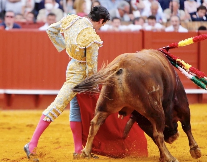 «Mi cuerpo salió por la Puerta Grande, pero yo no iba en él»