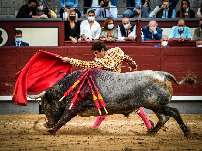 La entrega sin lucidez de Lamelas
