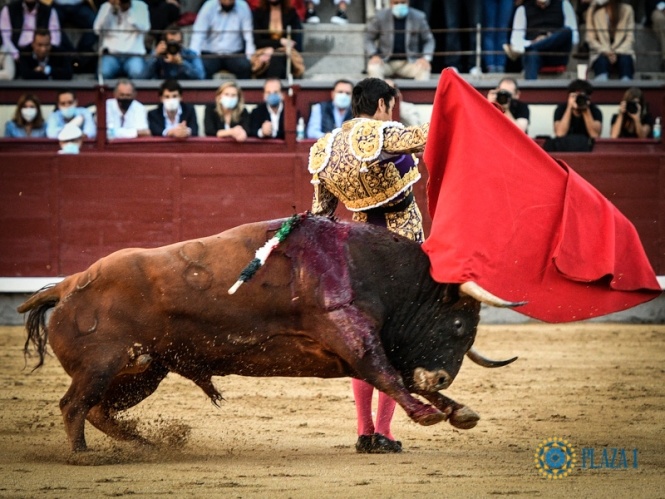 El flotar de Luque y la caída de Madrid