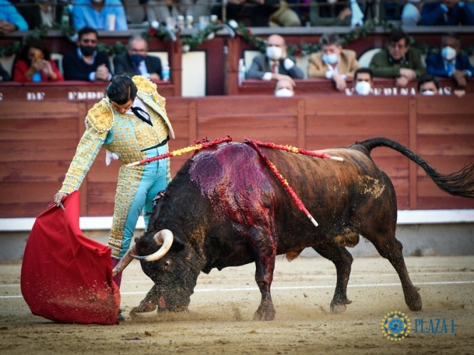 Ginés tumba al natural el suceso quebrado de Morante