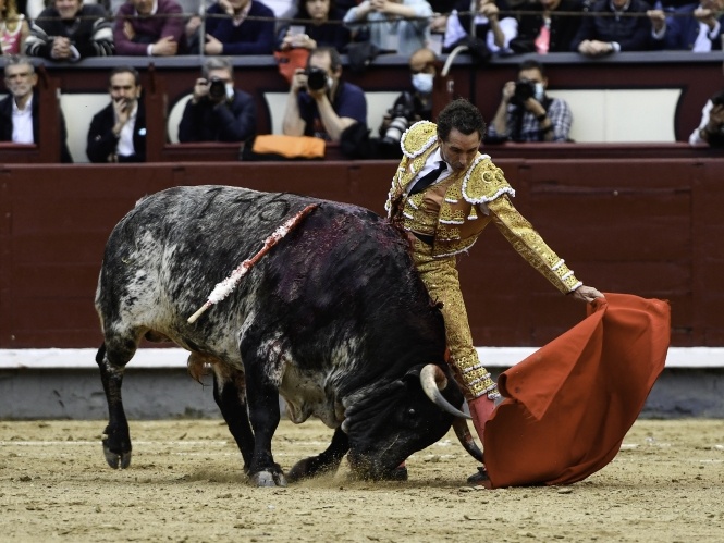 Honor a dos toreros y al toro bravo