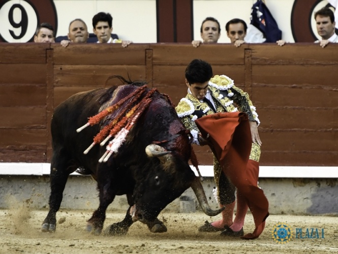 Álvaro Lorenzo, herido y torero al natural