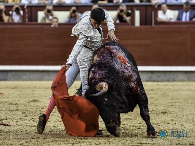 Javier Cortés y 'Bastardero' encarecen la tarde de El Pilar