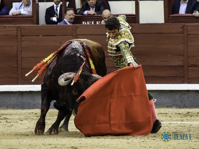 Peligro, descaste y un regreso para el olvido