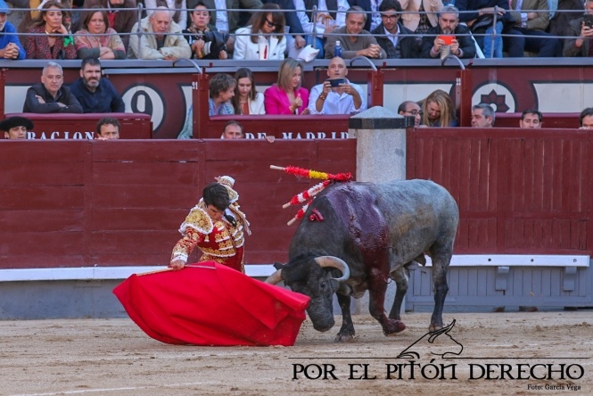 Escolar vuelve a rendir Las Ventas con Cartelero