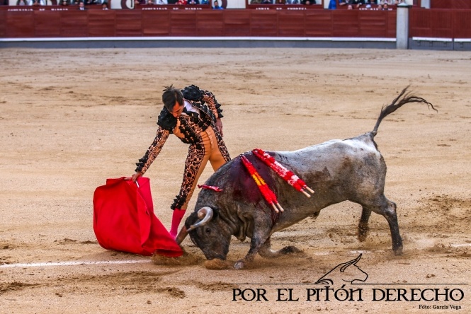 Escolar vuelve a rendir Las Ventas con Cartelero