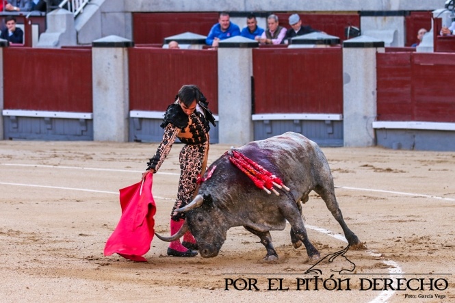 Escolar vuelve a rendir Las Ventas con Cartelero