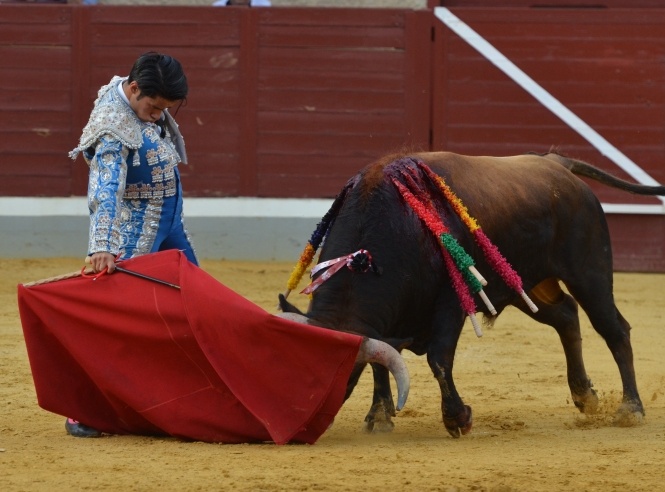 El 'Alfarero de Plata' ya tiene semifinalistas 
