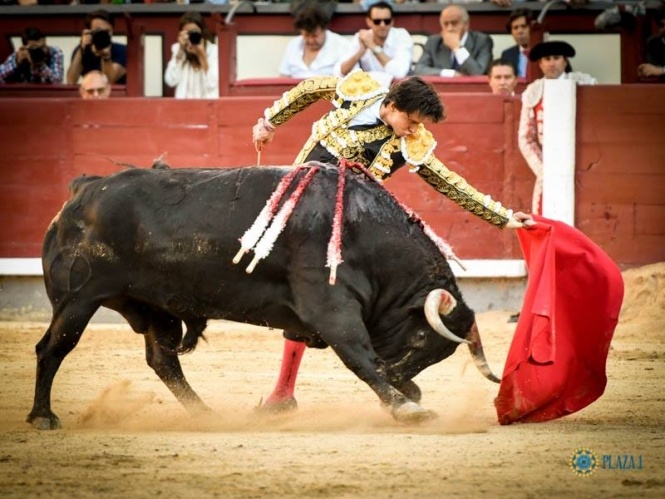 «Vivir en torero es entregar tu vida a cambio de nada»