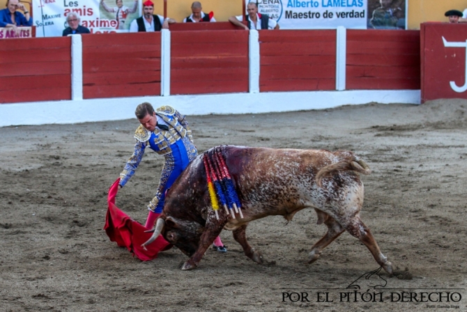 'Panceto', de Peñajara: el toro bravo