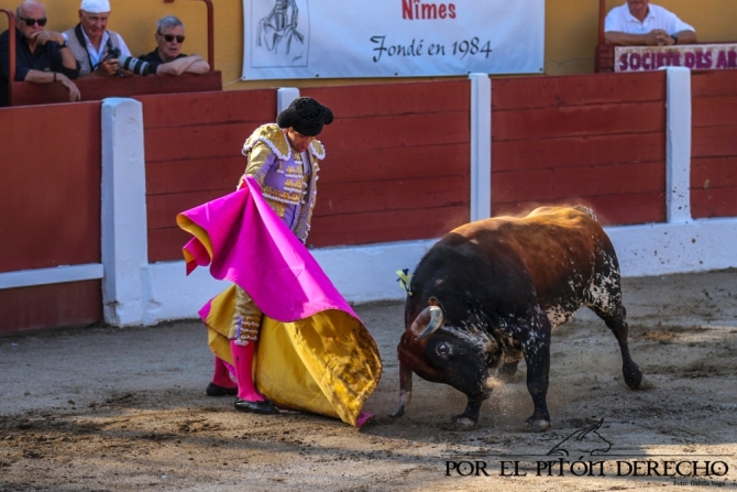 'Panceto', de Peñajara: el toro bravo