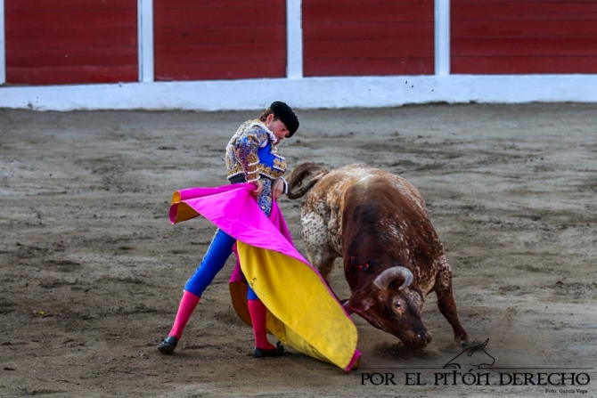 'Panceto', de Peñajara: el toro bravo