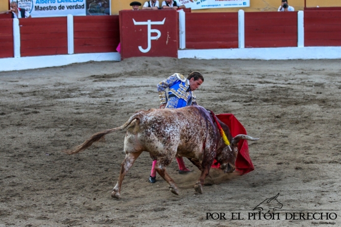 'Panceto', de Peñajara: el toro bravo