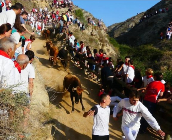 Primer encierro del Pilón de Falces: 