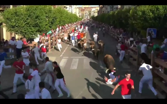 Trepidante y peligroso encierro de José Luis Pereda para abrir la feria en Tafalla; primer herido por asta. 
