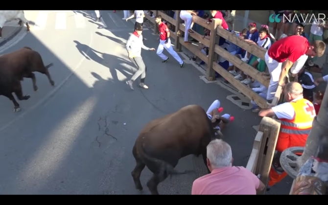 Trepidante y peligroso encierro de José Luis Pereda para abrir la feria en Tafalla; primer herido por asta. 