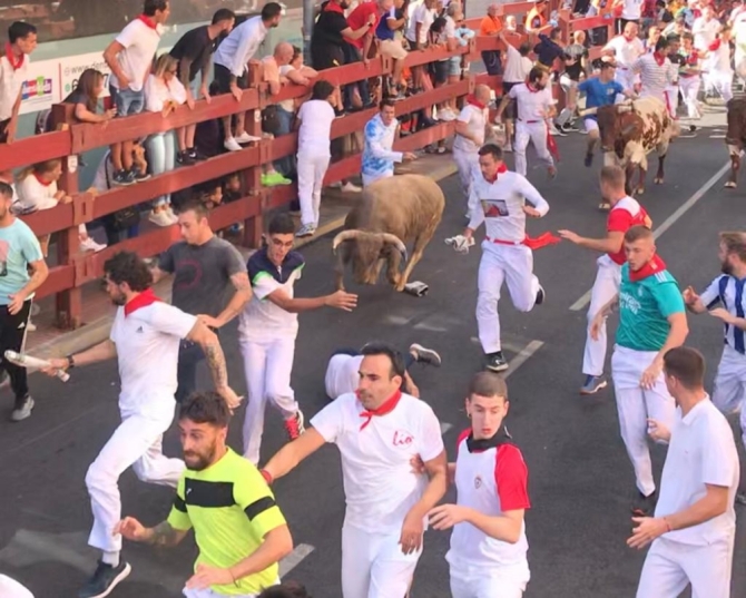 'Tercer encierro bonito y vistoso de Villalpando en Sanse'