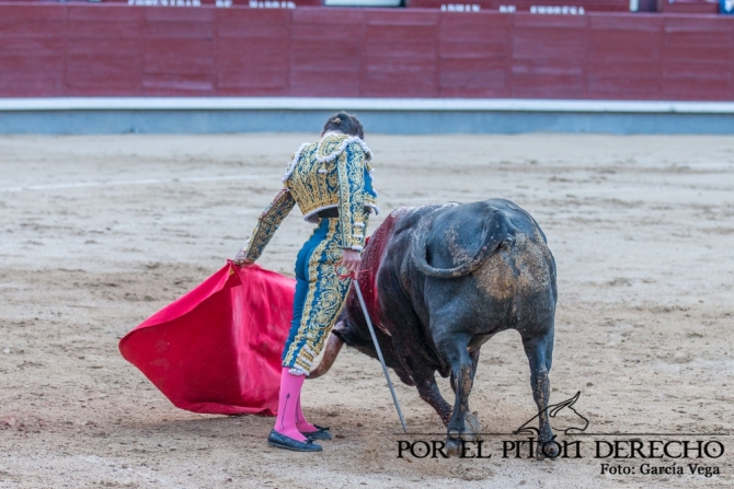 'Damián Castaño borda el toreo en Madrid'