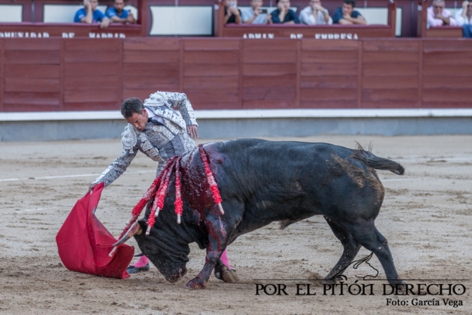 'Damián Castaño borda el toreo en Madrid'