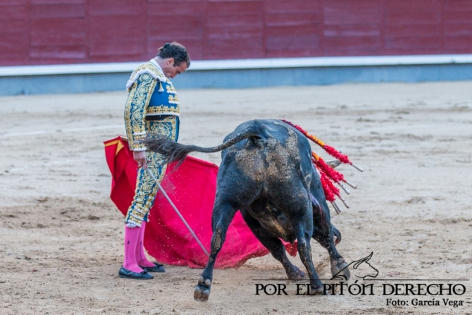 'Damián Castaño borda el toreo en Madrid'