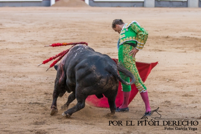 'Damián Castaño borda el toreo en Madrid'