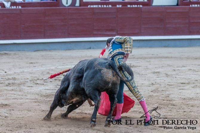 'Damián Castaño borda el toreo en Madrid'