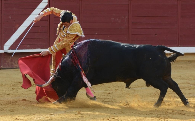 De Justo y Roca Rey, tarde redonda en Almodóvar del Campo
