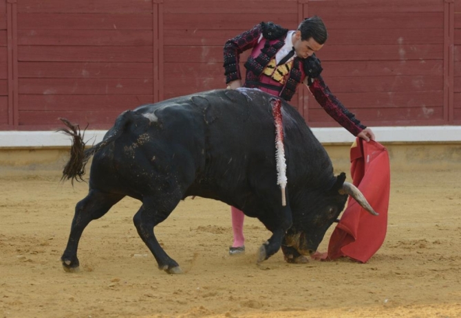 De Justo y Roca Rey, tarde redonda en Almodóvar del Campo