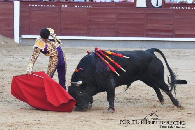 'Como una boda gitana'