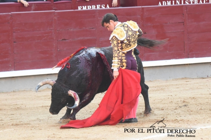 'Como una boda gitana'