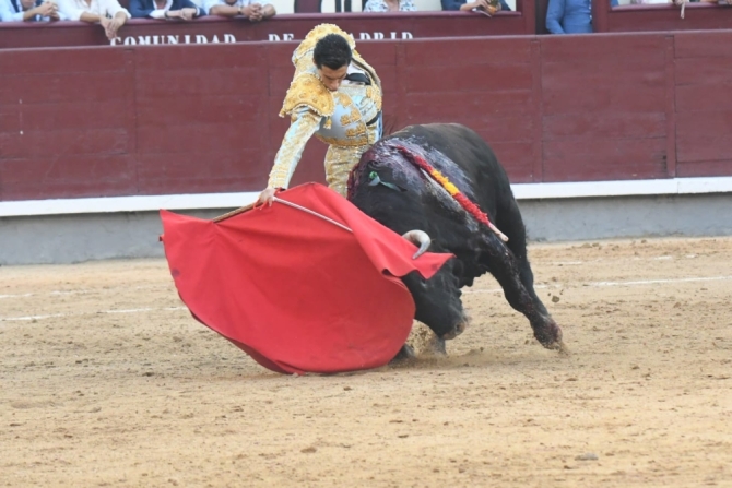 'Descaste, avisos a granel y una trincherilla para guardar'