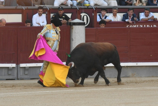 'Descaste, avisos a granel y una trincherilla para guardar'