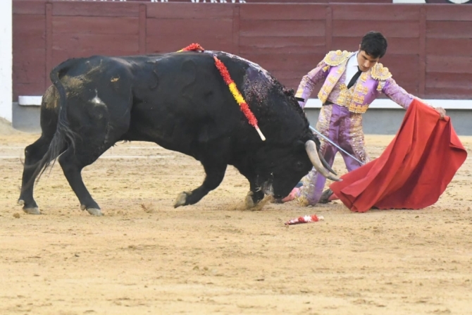 'Descaste, avisos a granel y una trincherilla para guardar'