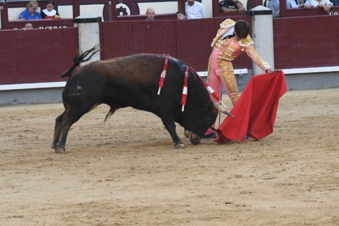 'Descaste, avisos a granel y una trincherilla para guardar'
