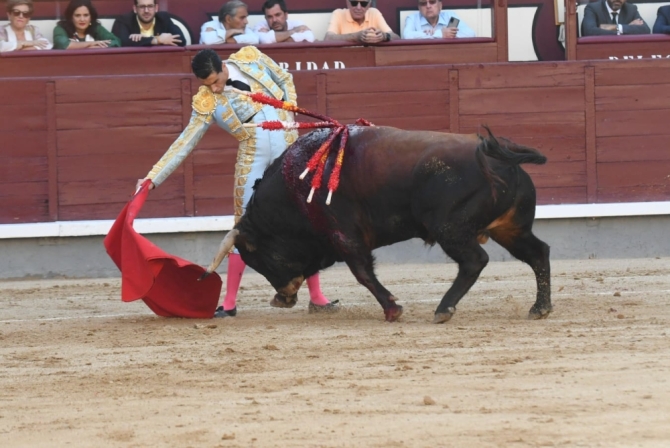 'Descaste, avisos a granel y una trincherilla para guardar'