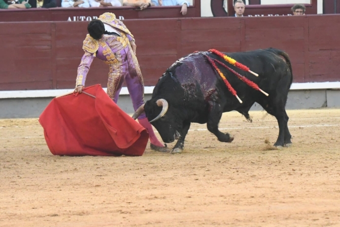 'Descaste, avisos a granel y una trincherilla para guardar'