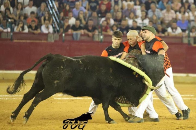 La raza, la casta y la bravura hacen acto de presencia en el XXXVII Campeonato de España de Roscaderos