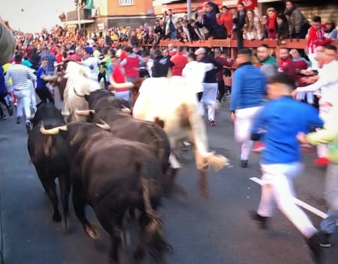 La borrasca Juan no frena el primer bullicioso encierro en Sanse; los de Matilla dan el pistoletazo de salida
