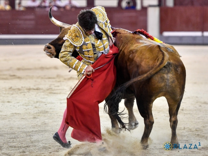 Quiero tomar la alternativa a mitad de temporada; me gustaría llegar a Albacete como matador