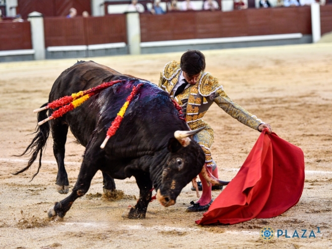 Quiero tomar la alternativa a mitad de temporada; me gustaría llegar a Albacete como matador