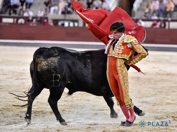 Quiero tomar la alternativa a mitad de temporada; me gustaría llegar a Albacete como matador