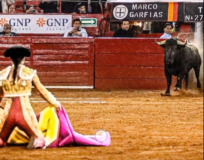 ¡Noche de toreadoras!
