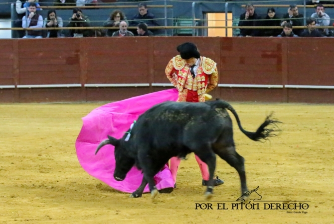 Los avisos y los aceros, protagonistas en Vistalegre 