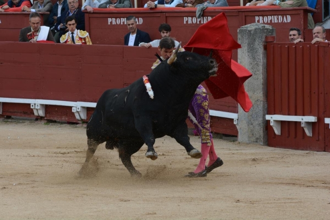 Triple puerta grande a beneficio de la paraplejia