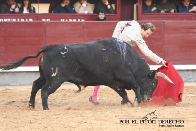 Román y 'Niñoso' de Pedraza ponen el calor a una fría tarde en Madrid 