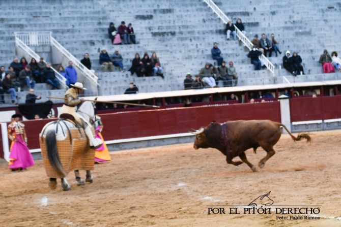 Román y 'Niñoso' de Pedraza ponen el calor a una fría tarde en Madrid 