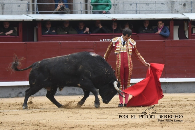 Román y 'Niñoso' de Pedraza ponen el calor a una fría tarde en Madrid 