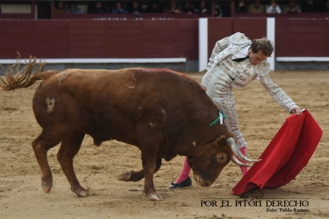 Román y 'Niñoso' de Pedraza ponen el calor a una fría tarde en Madrid 
